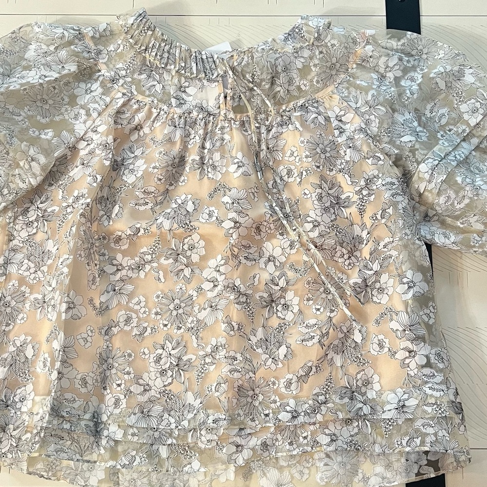 Current Air Sheer Floral Top in Cream and Gray